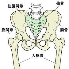 産後の骨盤